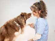 Tierarzt Eschenburg, Kleintierpraxis Wissenbach - GALLERY