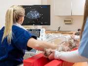 Tierarzt Eschenburg, Kleintierpraxis Wissenbach - GALLERY