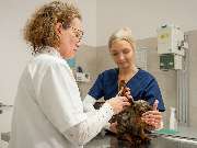 Tierarzt Haan Bad Honnef, Tierarztpraxis Dr. Haan - GALLERY