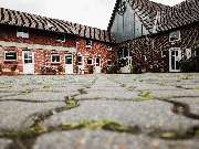 Tierarzt Hagen, Tierarztpraxis am Paulshof - GALLERY