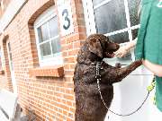 Tierarzt Hagen, Tierarztpraxis am Paulshof - GALLERY