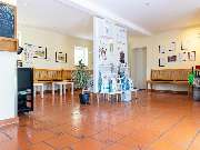 Tierarzt Hagen, Tierarztpraxis am Paulshof - GALLERY