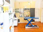 Tierarzt Hagen, Tierarztpraxis am Paulshof - GALLERY