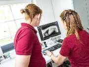 Tierarzt Hagen, Tierarztpraxis am Paulshof - GALLERY