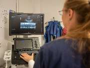 Tierarzt Heidelberg, Tierärztliches Zentrum an der Feuerwache - GALLERY