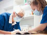 Tierarzt Hermannsburg, Heidjer Vets Hermannsburg - GALLERY