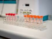 Tierarzt Hülsmann Speyer, Kleintierpraxis Dres. Hülsmann - GALLERY