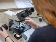 Tierarzt Hülsmann Speyer, Kleintierpraxis Dres. Hülsmann - GALLERY