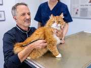 Tierarzt Jacobi Lüneburg, Kleintierpraxis Lünevet - GALLERY