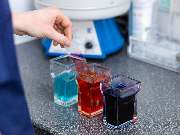 Tierarzt Jacobi Lüneburg, Kleintierpraxis Lünevet - GALLERY