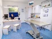 Tierarzt Jacobi Lüneburg, Kleintierpraxis Lünevet - GALLERY
