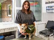 Tierarzt Jülich, Tierärztliche Praxis für Kleintiere am Brückenkopfpark - GALLERY