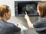 Tierarzt Jülich, Tierärztliche Praxis für Kleintiere am Brückenkopfpark - GALLERY