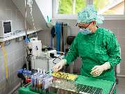 Tierarzt Jülich, Tierärztliche Praxis für Kleintiere am Brückenkopfpark - GALLERY