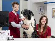 Tierarzt Jülich, Tierärztliche Praxis für Kleintiere am Brückenkopfpark - GALLERY