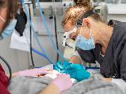 Tierarzt Jülich, Tierärztliche Praxis für Kleintiere am Brückenkopfpark - GALLERY