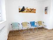 Tierarzt Kiel, Kleintierpraxis Dr. Melfsen-Jessen - GALLERY