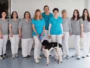 Tierarzt Lampertheim, Kleintierpraxis Hüttenfeld - GALLERY