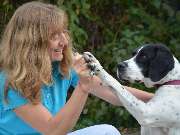 Tierarzt Lampertheim, Kleintierpraxis Hüttenfeld - GALLERY