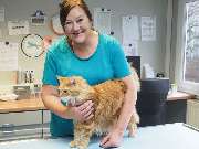 Tierarzt Lampertheim, Kleintierpraxis Hüttenfeld - GALLERY