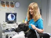 Tierarzt Lampertheim, Kleintierpraxis Hüttenfeld - GALLERY