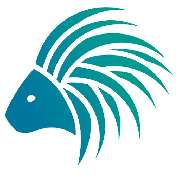 Tierarzt Limeshain, Kleintierzentrum Kilb&Team - GALLERY