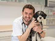 Tierarzt Limeshain, Kleintierzentrum Kilb&Team - GALLERY