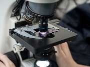 Tierarzt Limeshain, Kleintierzentrum Kilb&Team - GALLERY