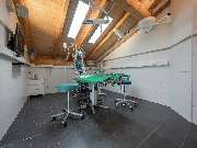 Tierarzt Limeshain, Kleintierzentrum Kilb&Team - GALLERY