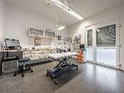 Tierarzt Limeshain, Kleintierzentrum Kilb&Team - GALLERY