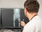 Tierarzt Limeshain, Kleintierzentrum Kilb&Team - GALLERY