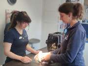 Tierarzt Mainleus, Tierarztpraxis Dr. Christine Kammerer - GALLERY