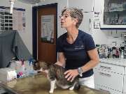 Tierarzt Mainleus, Tierarztpraxis Dr. Christine Kammerer - GALLERY