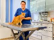 Tierarzt Menger Weitramsdorf, Tierarztpraxis Dr. med. vet. Martina Menger - GALLERY