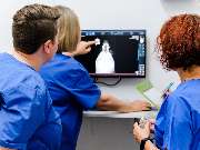 Tierarzt Menger Weitramsdorf, Tierarztpraxis Dr. med. vet. Martina Menger - GALLERY