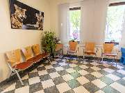 Tierarzt Mergenthal Achim Kleintierpraxis Achim - GALLERY