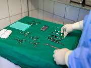 Tierarzt Mergenthal Achim Kleintierpraxis Achim - GALLERY