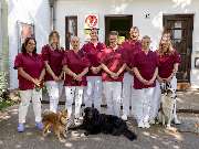 Tierarzt Mergenthal Achim Kleintierpraxis Achim - GALLERY