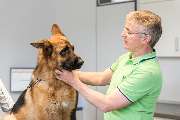 Tierarzt Moch Waghäusel, Tierarztpraxis Moch - GALLERY