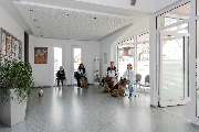 Tierarzt Moch Waghäusel, Tierarztpraxis Moch - GALLERY