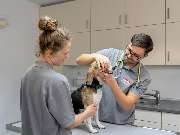 Tierarzt Moch Waghäusel, Tierarztpraxis Moch - GALLERY