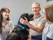 Tierarzt Moch Waghäusel, Tierarztpraxis Moch - GALLERY