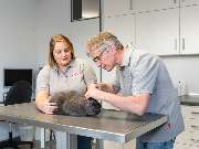 Tierarzt Moch Waghäusel, Tierarztpraxis Moch - GALLERY