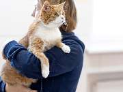 Tierarzt Mülheim, Tierarztpraxis Alte Feuerwache - GALLERY