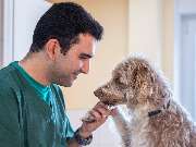 Tierarzt Mülheim, Tierarztpraxis Alte Feuerwache - GALLERY