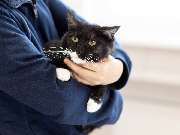 Tierarzt Mülheim, Tierarztpraxis Alte Feuerwache - GALLERY