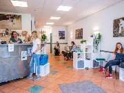 Tierarzt Nidderau, Tierarztpraxis an den Nidderwiesen - GALLERY