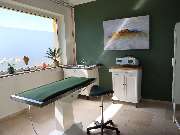 Tierarzt Oster Warburg, Kleintierpraxis Dr. Oster - GALLERY