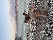 Tierarzt Pfaffenhofen | Dr. med. vet. Patrick Soffner - GALLERY