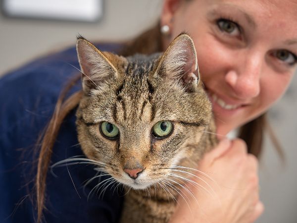 Tierarzt Pliezhausen, Tierärztliche Praxis am Schö …